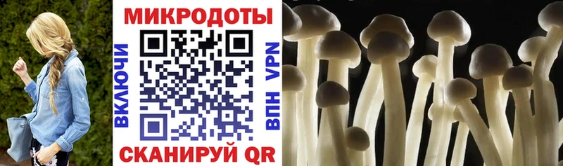Псилоцибиновые грибы Psilocybine cubensis  Сланцы 
