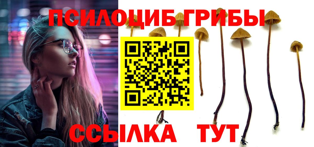 Псилоцибиновые грибы GOLDEN TEACHER Сланцы