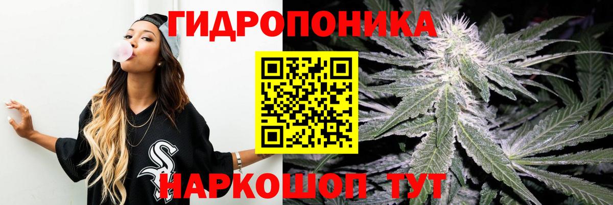 Канабис MAZAR Сланцы